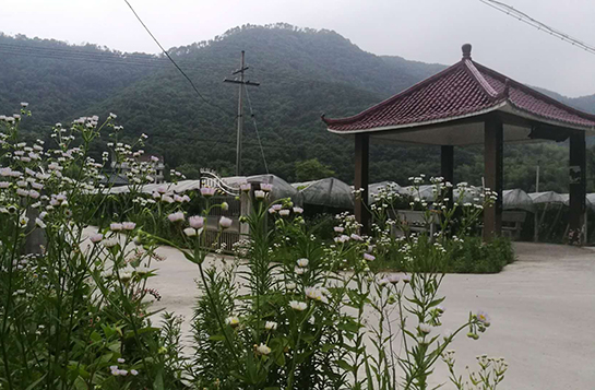 果園簡介